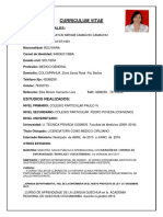 Elaboracion de Curriculum Vitae