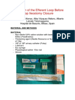 Stimulation of the Efferent Loop Before Loop Ileostomy Closure 