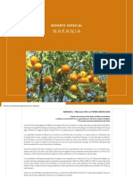 100602-reporte-naranja.pdf