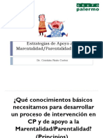 Competencias_Parentales_Grupo_Palermo_Noviembre2015.pdf