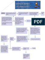 esquema-del-amparo.pdf