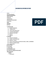 Esquema Del Informe de Tesis