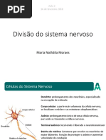 Aula 2 - Sistema Nervoso