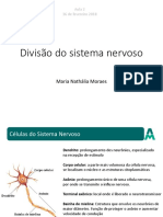 Divisão do Sistema Nervoso em