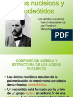 Nucleotidos Expo