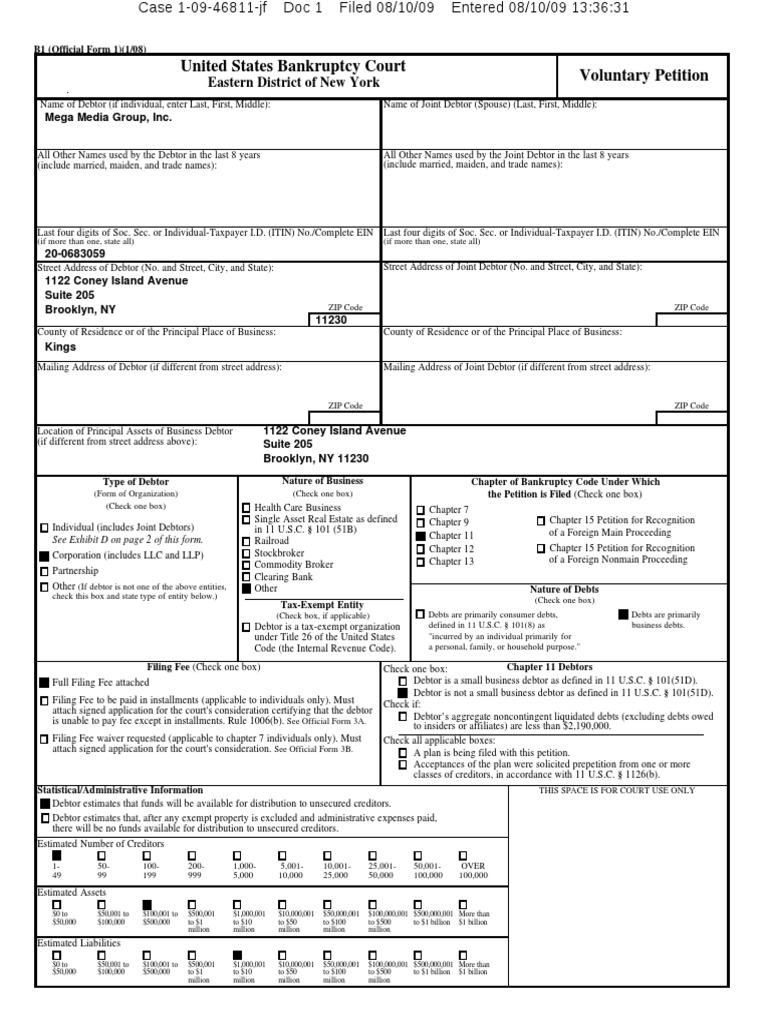 Mega Media Group Inc. 2009 Voluntary Bankruptcy Petition (Steven Fruman) |  PDF | Chapter 7 | Chapter 11