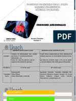 SINDROMES ABDOMINALES.pptx