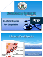embarazoylactanciafisiologia-130518220553-phpapp02