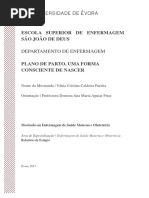 Mestrado - Enfermagem de Saúde Materna e Obstetrícia - Vânia Cristina Caldeira Paralta - Plano de Parto, Uma Forma Consciente de Nascer