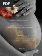 Elisa Pedro Gaspar;;20080530.pdf