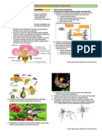 Reproduksi Generatif Angiospermae