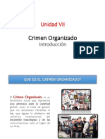 Unidad Vii Introduccion Al Crimen Organizado - Mafias Extranjeras