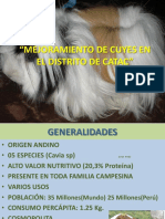 CUYES EN EL DISTRITO DE CATAC.pdf