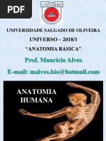 3 - Aula 3 ANATO BASICA OSSO II 1.ppt