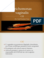 Trichomonas Vaginalis