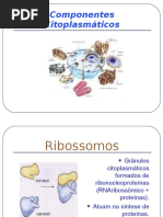 componentes citoplasmáticos.ppt