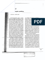 Participação Política PDF