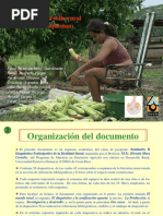 Modelo D. Rural