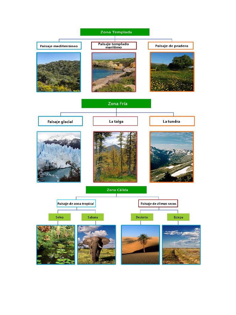 Paisajes de la Zona Templada en Chile | PDF | Zona tropical | Clima