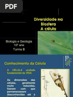 A Célula 2017 Final