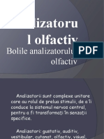 Analizatorul Olfactiv