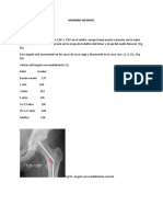 MIEMBRO mediciones.docx