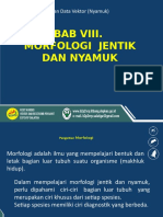 Bab Viii Morfologi Jentik Dan Nyamuk-Tamkjhgfdbahan