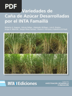 Script-tmp-Inta-nuevas Variedades de Caa de Azcar Desarrolladas