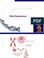 DNA Replication: AP Biology