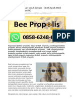 Beepropolisstore.blogspot.com - Vitamin Daya Tahan Tubuh Terbaik 0858-6248-6502 