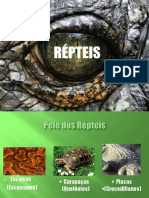 RÉPTEIS