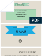 EL MAÍZ-1.pdf