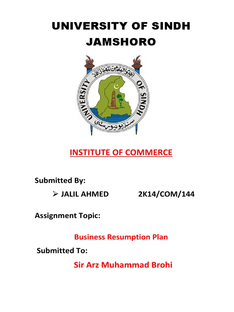 Business Resumption Plan Overview | PDF | Risk Management | Hazards