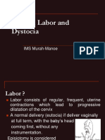 40 Normal Labor and Dystocia