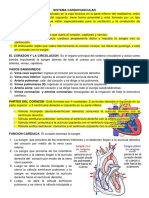 Sistema Cardiovascular