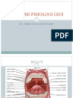 Anatomi Fisiologi Gigi