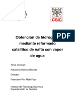 tesisUPV2623.pdf