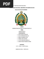 PRESUPUESTO-imprimir