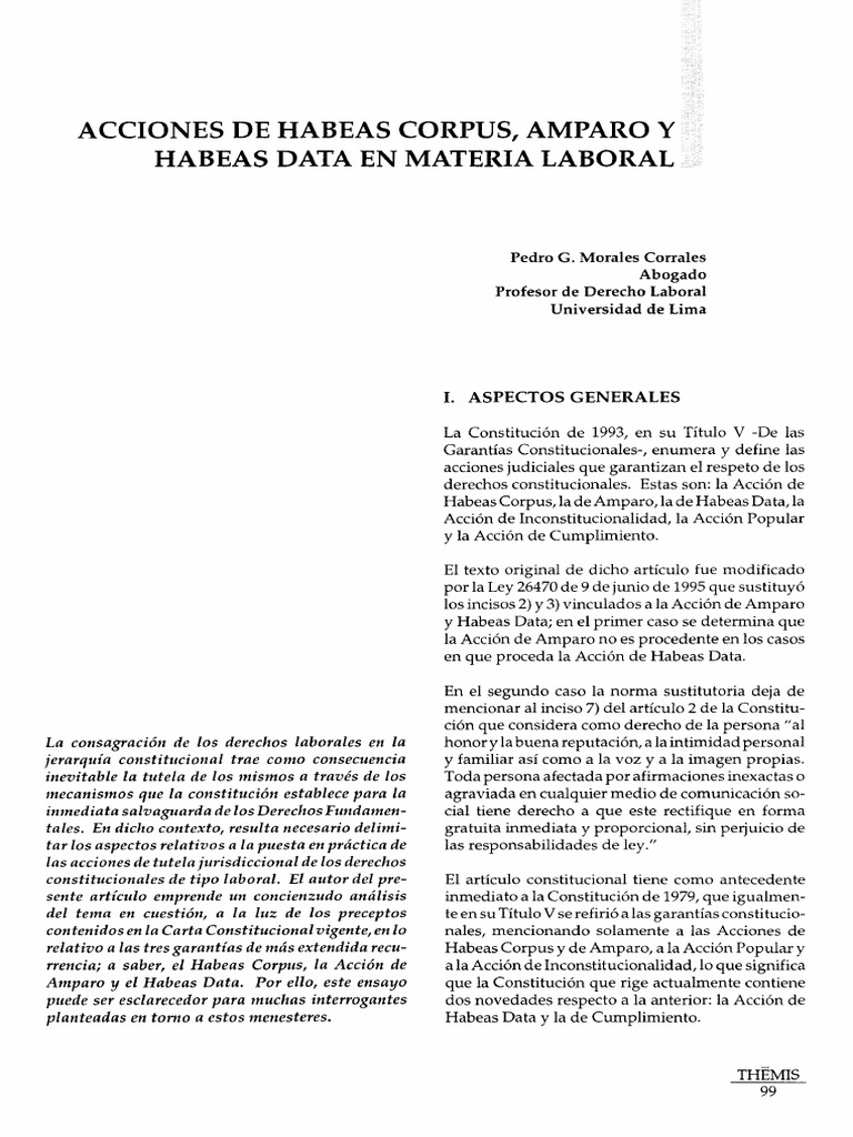 Amparo | PDF | Habeas corpus | Derecho Constitucional