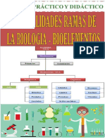 Generalidades Romain Listo