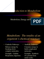 an introduction to metabolism-campbell ch