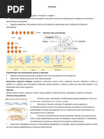 Aula 11 Plano de Aula Bioquímica Proteínas