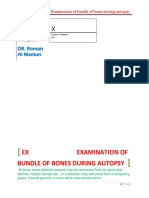 Foerensic Investigation of Bundle of Bones 