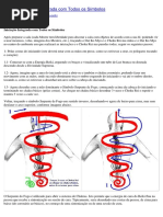 REIKI – Iniciação Integrada Com Todos Os Símbolos