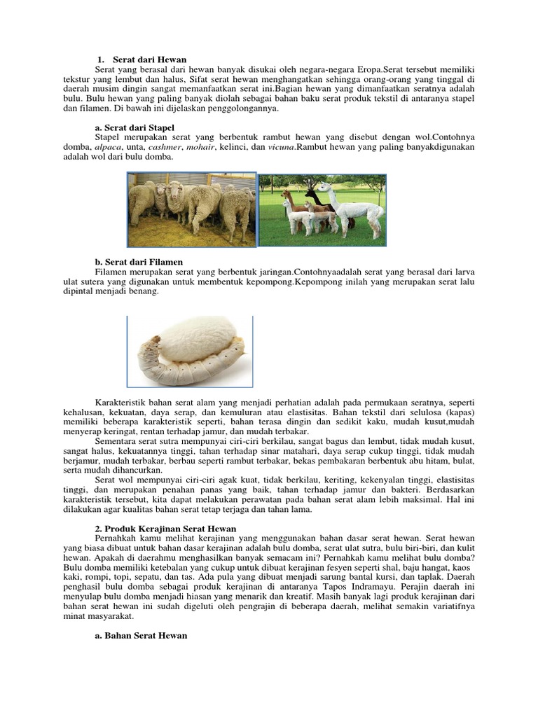 100 Gambar Hewan Vicuna Gambar Pixabay