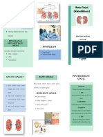 Leaflet Nefolithiasis Ziky