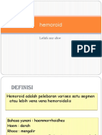 233303680-Idk-Hemoroid-Ppt.pptx