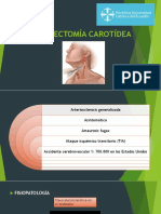 Endarterectomía Carotídea