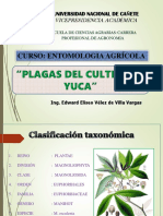 Sesión 3. Plagas en Yuca y Camote PDF