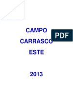 21 Campo CRE 2013
